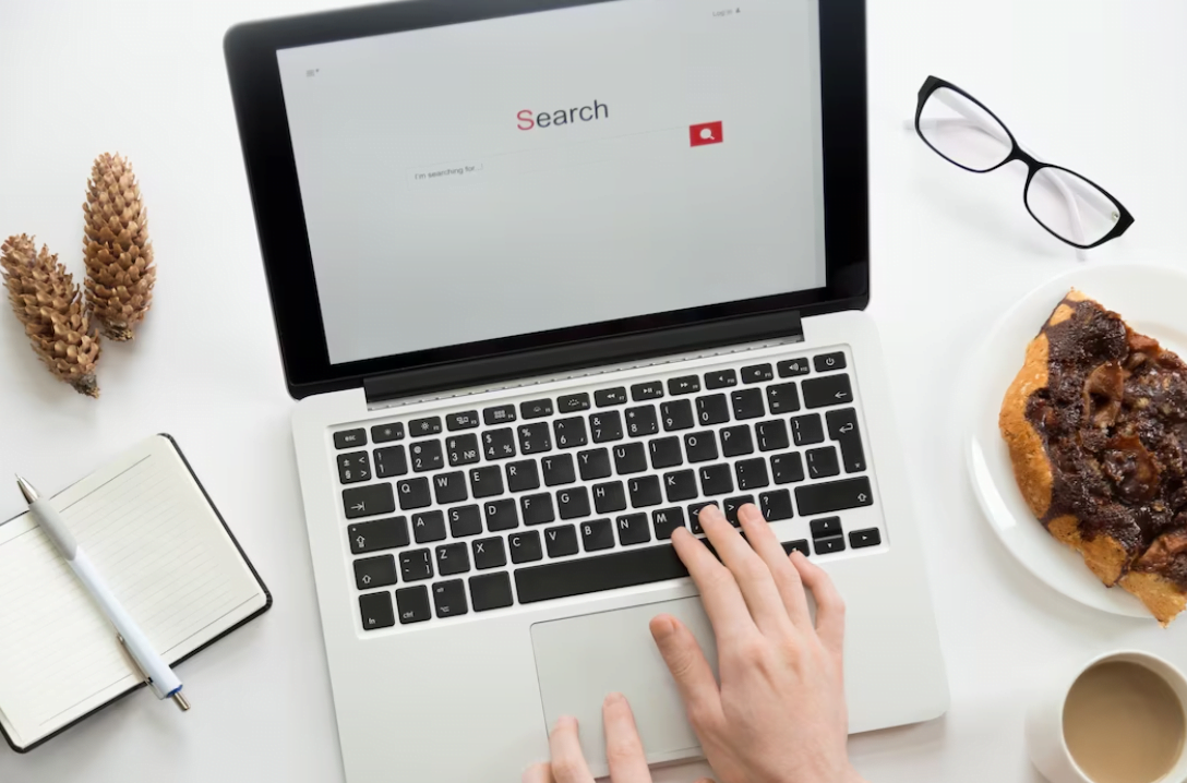 przeglądarka internetowa